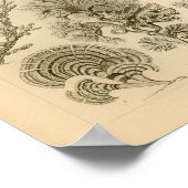 kleur Ernst Haeckel afdrukken Poster (Hoek)