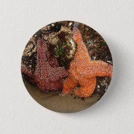 Kleur Foto 3 Starfish/Zee Star-foto in Oregon Ronde Button 5,7 Cm