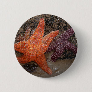 Kleur Foto van Oranje sterren/Zee Star Ronde Button 5,7 Cm