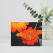 kleur gecoördineerd briefkaart (Staand voorkant)