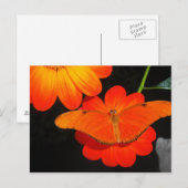 kleur gecoördineerd briefkaart (Voorkant / Achterkant)