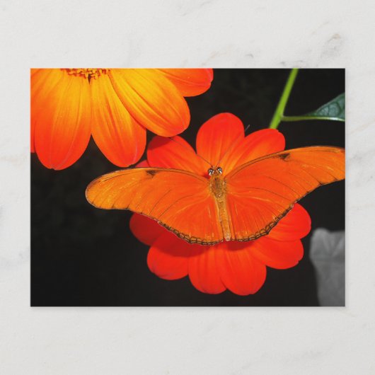 kleur gecoördineerd briefkaart (Voorkant)