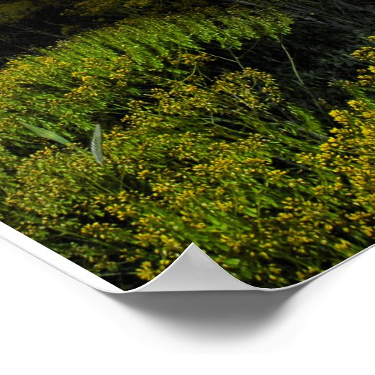 Kleur gevulde zonsondergang poster (Hoek)