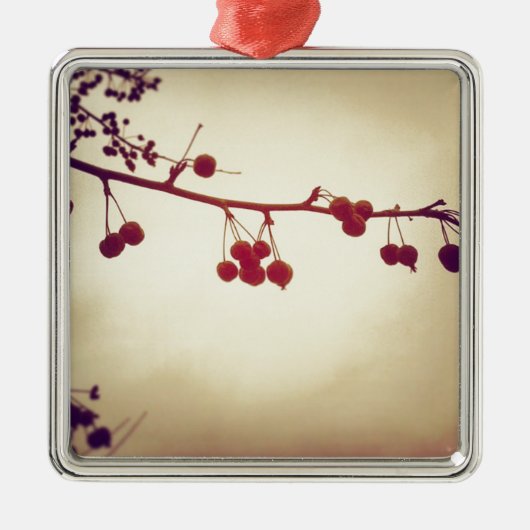 Kleur in een droeve winterdag metalen ornament (Voorkant)