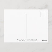 Kleur in je leven Postcrossing Briefkaart (Achterkant)