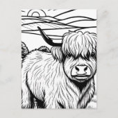 Kleur je eigen! Highland Koe Briefkaart (Voorkant)