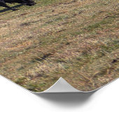 Kleur met de kudde... poster (Hoek)