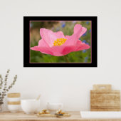 Kleur met roze roze foto bij sluiten poster (Keuken)