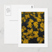 " Kleur mij Geel " Briefkaart (Voorkant / Achterkant)