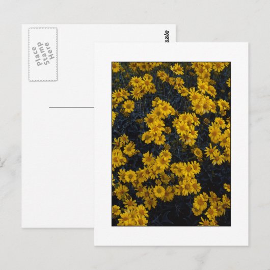 " Kleur mij Geel " Briefkaart (Voorkant / Achterkant)