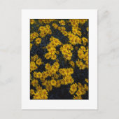 " Kleur mij Geel " Briefkaart (Voorkant)