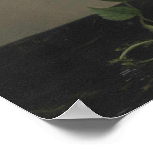 Kleur morning Glories Poster (Hoek)