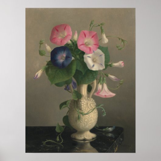 Kleur morning Glories Poster (Voorkant)