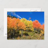 Kleur op de berg briefkaart (Voorkant / Achterkant)