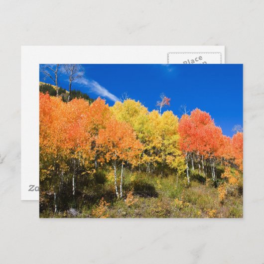 Kleur op de berg briefkaart (Voorkant / Achterkant)