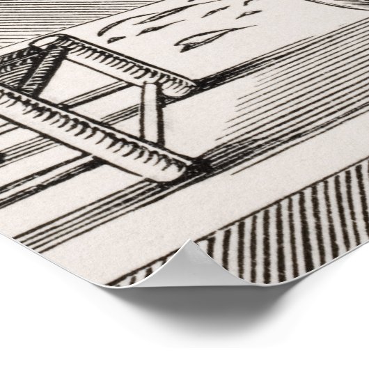 Kleur, reproductie van een houtsnip poster (Hoek)