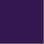 kleur Russisch violet Staand Fotobeeldje<br><div class="desc">Russische kleur violet 32174D</div>