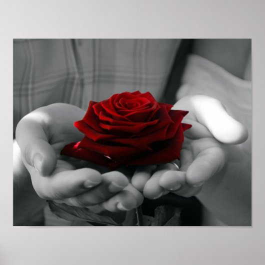 Kleur Splash Red Rose Poster (Voorkant)