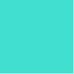 kleur turkooise staand fotobeeldje<br><div class="desc">kleur turquoise 40E0D0 type blauw</div>
