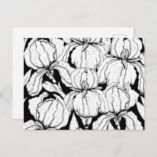 Kleur uw eigen Iris-bloemen Briefkaart (Voorkant / Achterkant)