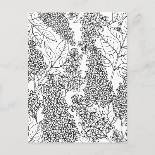 Kleur uw eigen Lila bloemen Briefkaart (Voorkant)