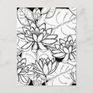 Kleur uw eigen Lotus Flowers Briefkaart