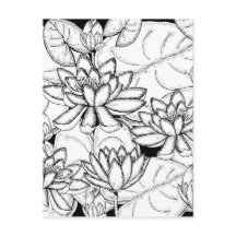 Kleur uw eigen Lotus Flowers