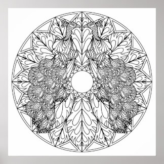 Kleur uw eigen pacocks Mandala Coloring Poster