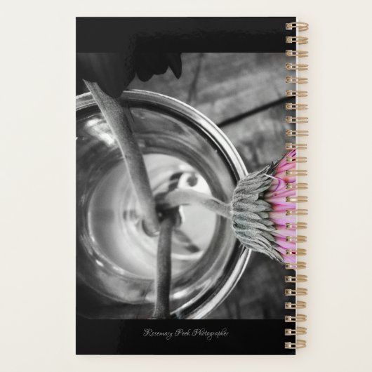 Kleur uw jaarplank planner (Achterkant)