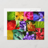 Kleur Uw Wereld Briefkaart (Voorkant / Achterkant)