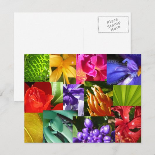 Kleur Uw Wereld Briefkaart (Voorkant / Achterkant)