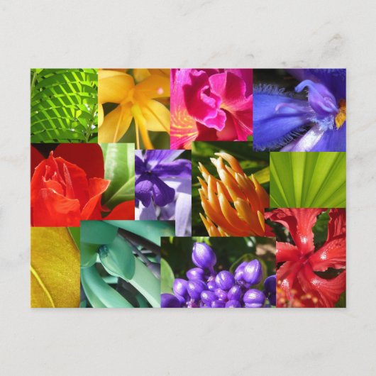 Kleur Uw Wereld Briefkaart (Voorkant)