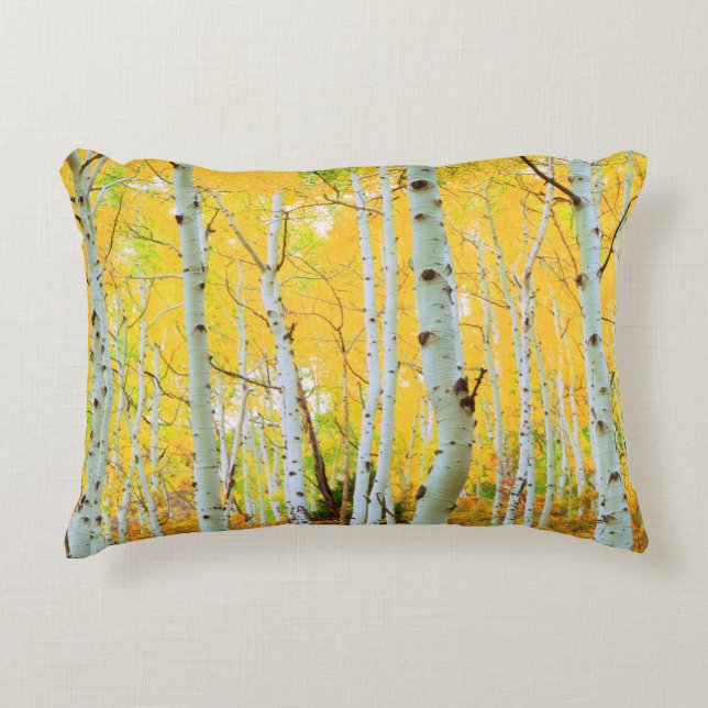 Kleur van de Aspen-bomen 1 Accent Kussen (Voorkant)