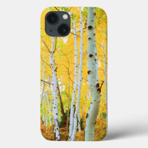 Kleur van de Aspen-bomen 1 iPhone 13 Hoesje