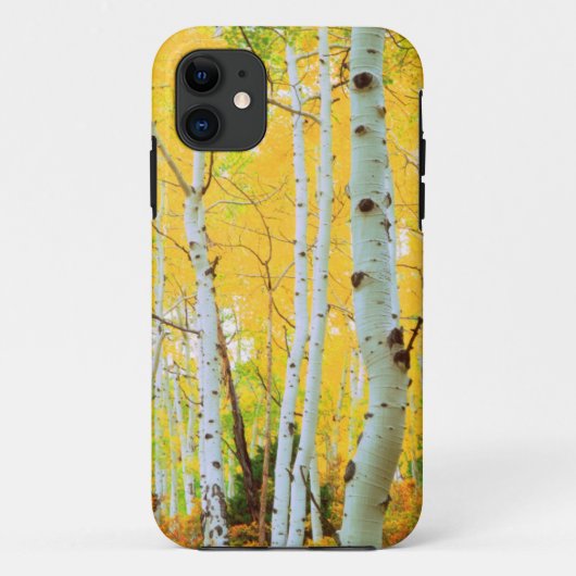 Kleur van de Aspen-bomen 1 Case-Mate iPhone Case (Achterkant)