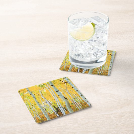 Kleur van de Aspen-bomen 1 Kartonnen Onderzetters (Insitu)