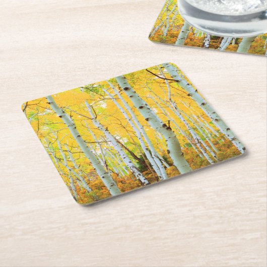 Kleur van de Aspen-bomen 1 Kartonnen Onderzetters (Schuin)