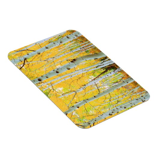 Kleur van de Aspen-bomen 1 Magneet (Rechterzijde)