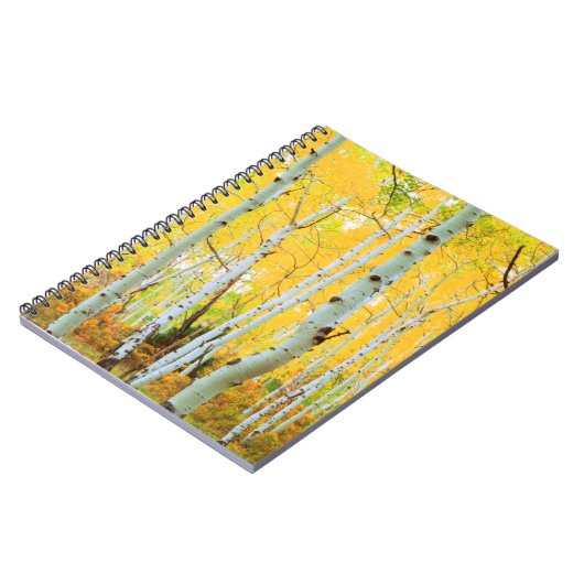 Kleur van de Aspen-bomen 1 Notitieboek (Linkerzijde)