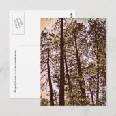 kleur van de bomen briefkaart (Voorkant / Achterkant)