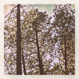 Kleur van de bomen glazen onderzetter