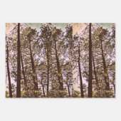 Kleur van de bomen inpakpapier vel (Voorkant 2)