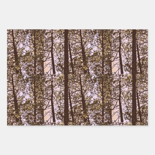 Kleur van de bomen inpakpapier vel (Voorkant)