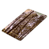 kleur van de bomen magneet (Linkerzijde)