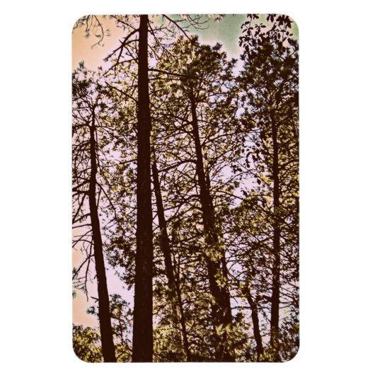 kleur van de bomen magneet (Verticaal)