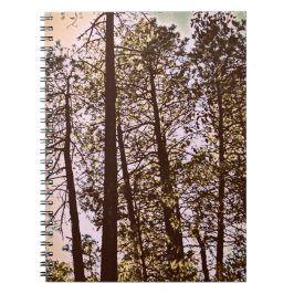 kleur van de bomen notitieboek