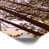 kleur van de bomen poster (Hoek)