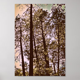 kleur van de bomen poster