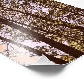 kleur van de foto van de bomen afdruk (Hoek)