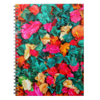 Kleur van de gedroogde blowerpourri,aroma,aromathe